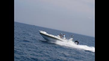 Marlin Boat 282
