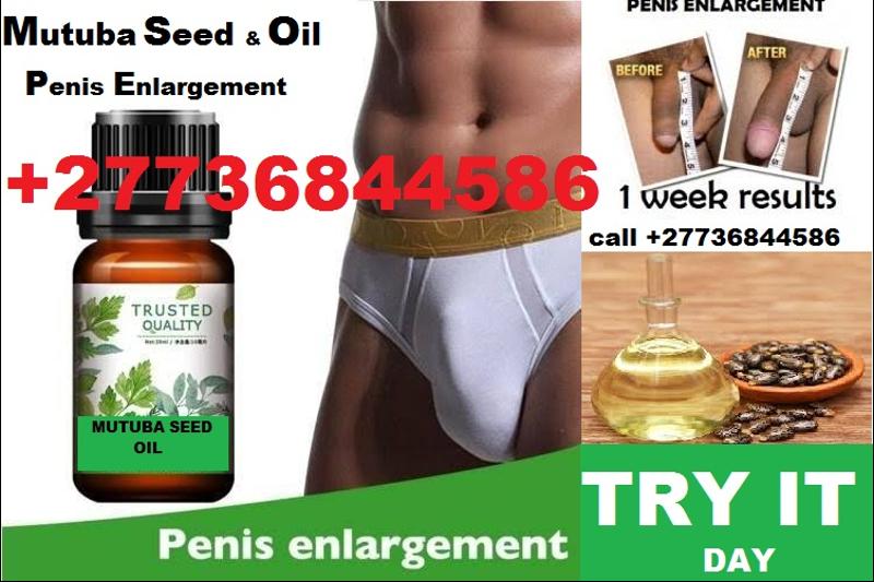 1702557790360_Mutuba-seed-and-Herbal-Oil-for-Male-Enlargement-27736844586-Serius-Man-2.jpeg