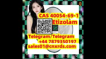 High Quality Pharmaceutical Raw Material CAS 40054-69-1 