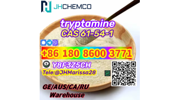 Super High Quality CAS 61-54-1 tryptamine Threema: Y8F3Z5CH 