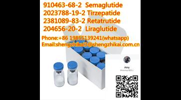 Keeping Fitness Peptides Product Liraglu CAS 204656-20-2 Factory High Quality