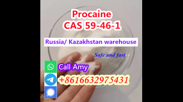 CAS 59-46-1 High quality 99% Procaine 