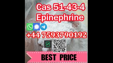 L-Epinefrine white powder in small vials 51-43-4