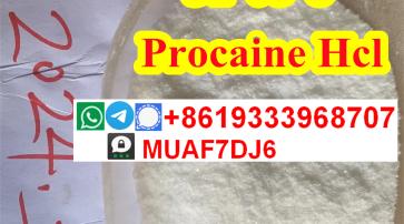 Procaine Factory Procaine base Procaine Supplier CAS59-46-1