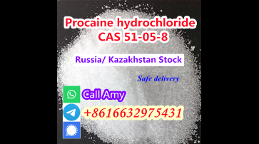 CAS 51-05-8 Factory Supply Procaine HCl Powder 